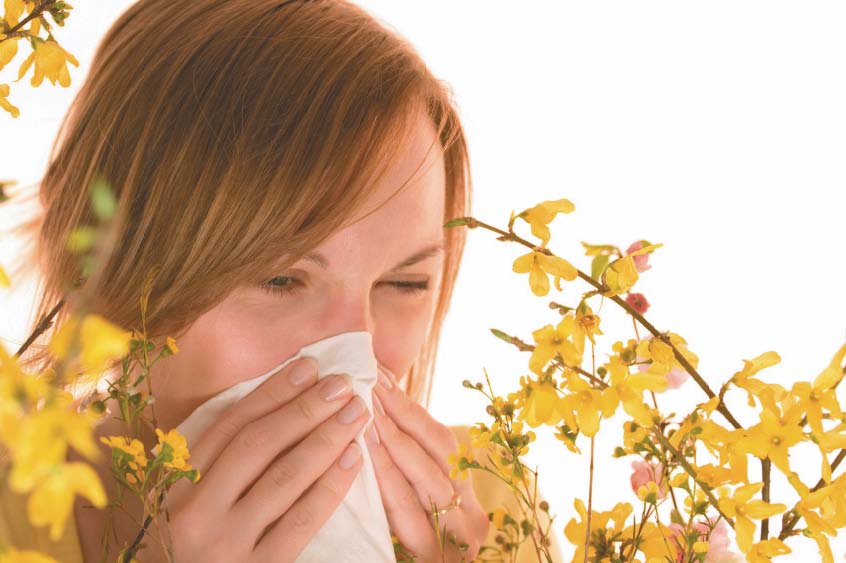 Fix Allergies with Chiropractic