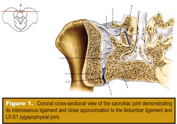 Neuromechanical Considerations of the Sacroiliac Joint