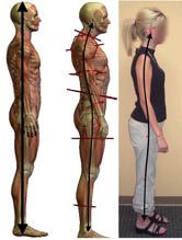 Posture Reprogramming and  Athletic Performance
